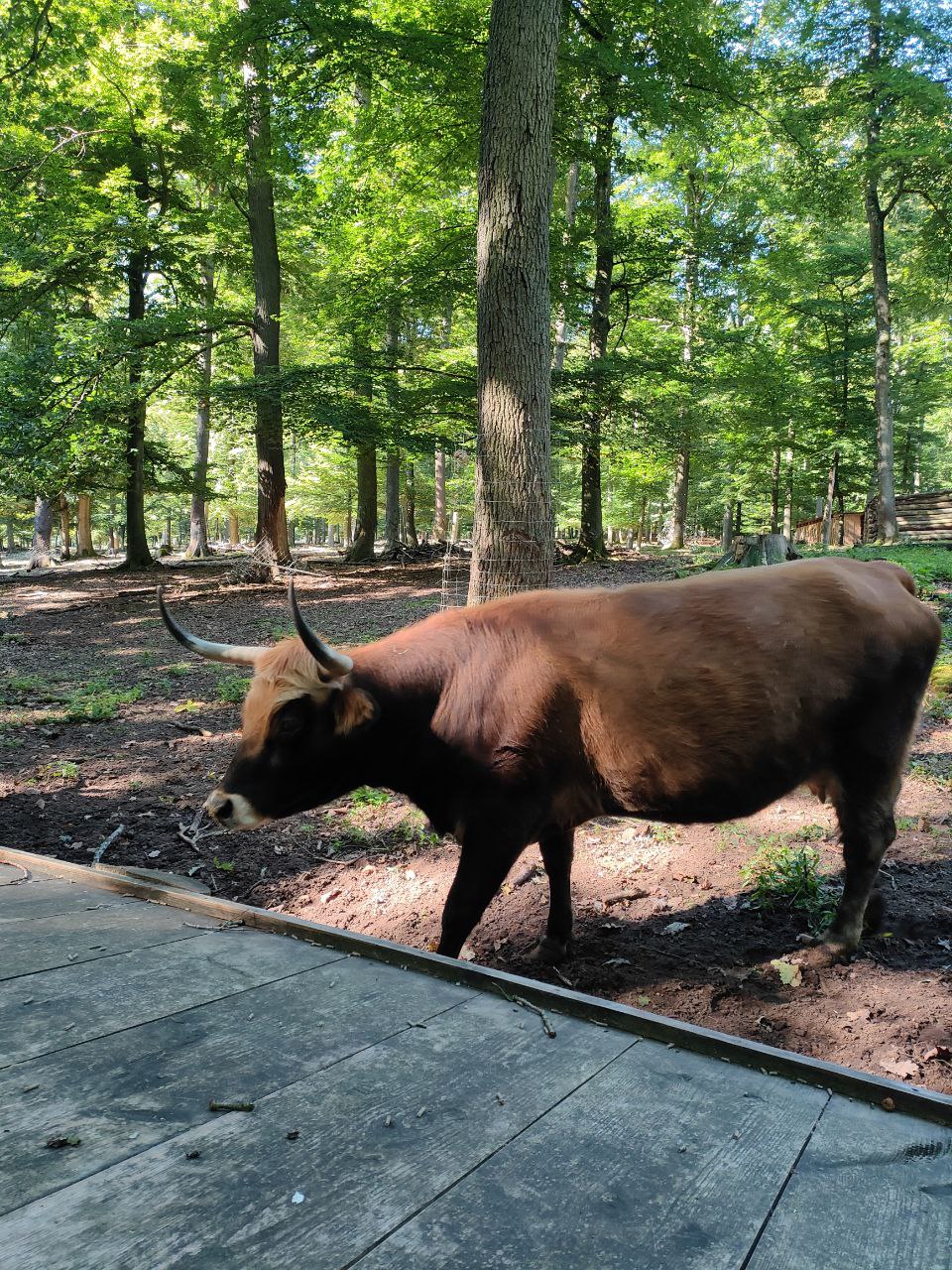 Wildpark_2c_12.jpg